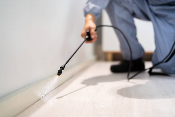 Licensed Mosquito Control service in Franklin Park, FL - Show Me Pest Control