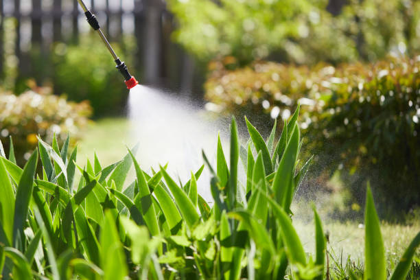 24/7 Emergency Mosquito Control experts in Franklin Park, FL