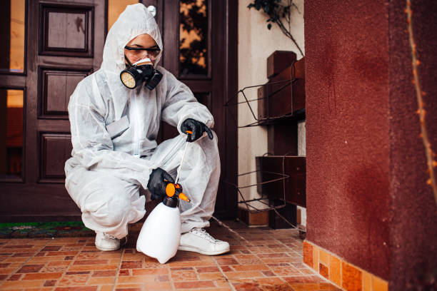 Reliable Mosquito Control contractor in Franklin Park, FL by Show Me Pest Control